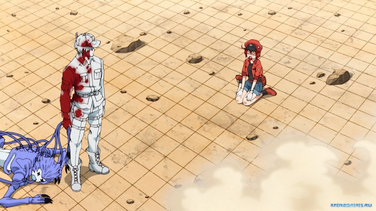 Cells at Work! / Hataraku Saibou » Смотреть аниме онлайн и многое другое -  бесплатно и без регистрации